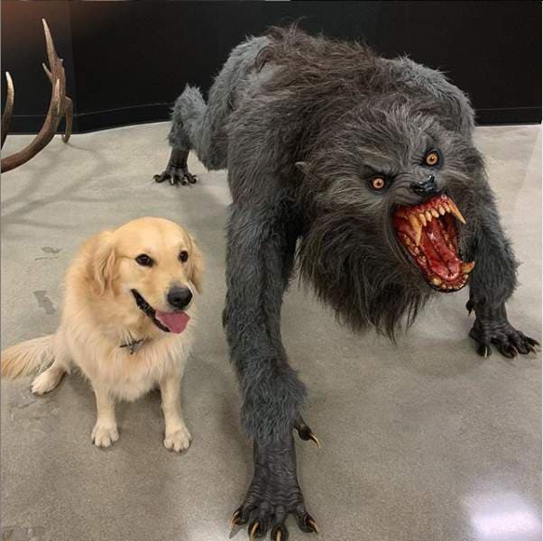 thread image